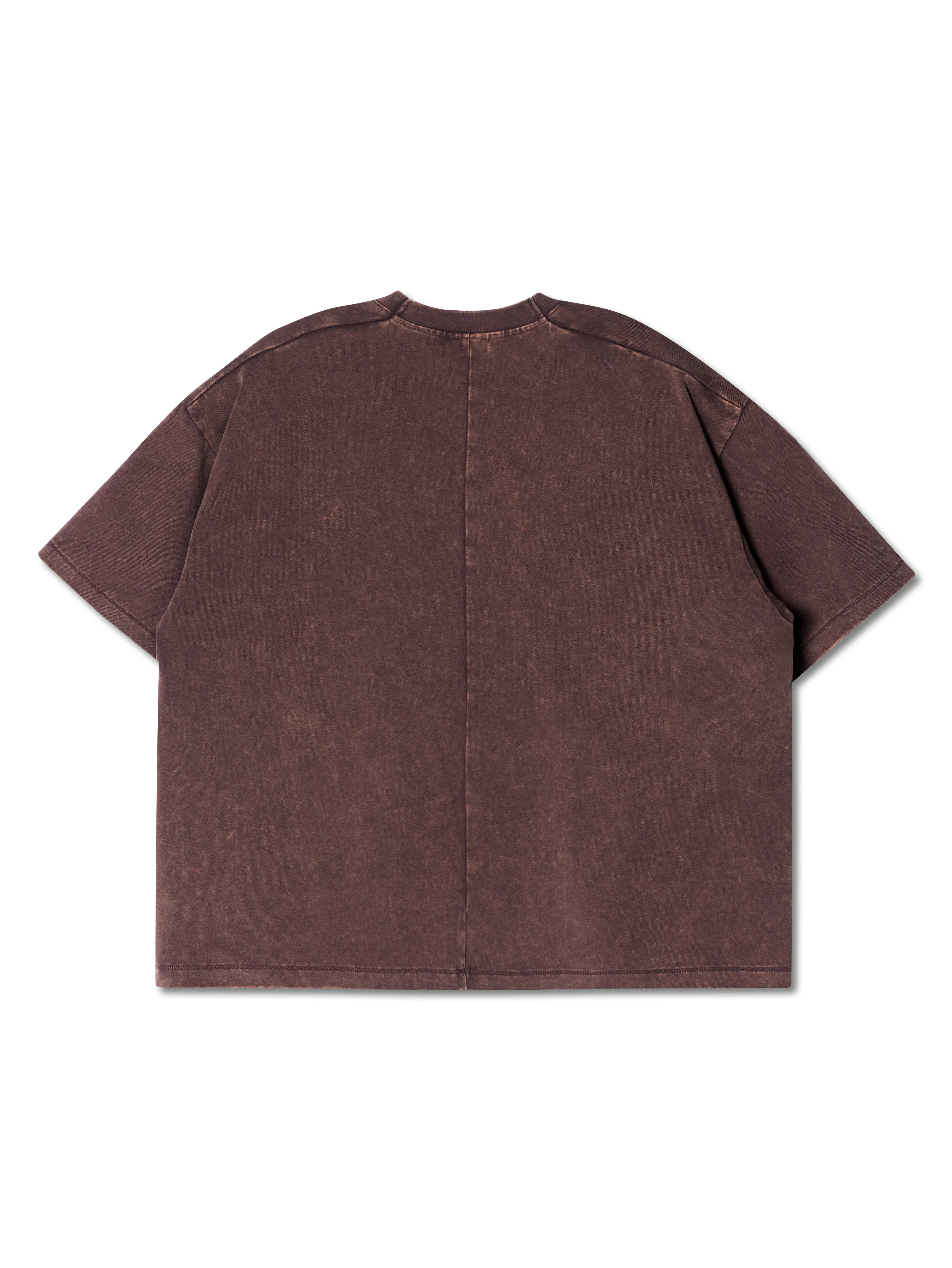 SINGLE STITCH WASHED CROPPED TEE BROWN
