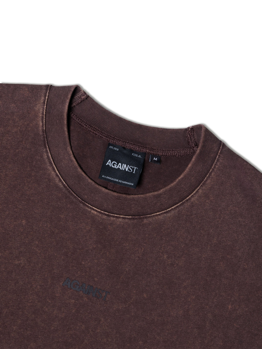 SINGLE STITCH WASHED CROPPED TEE BROWN