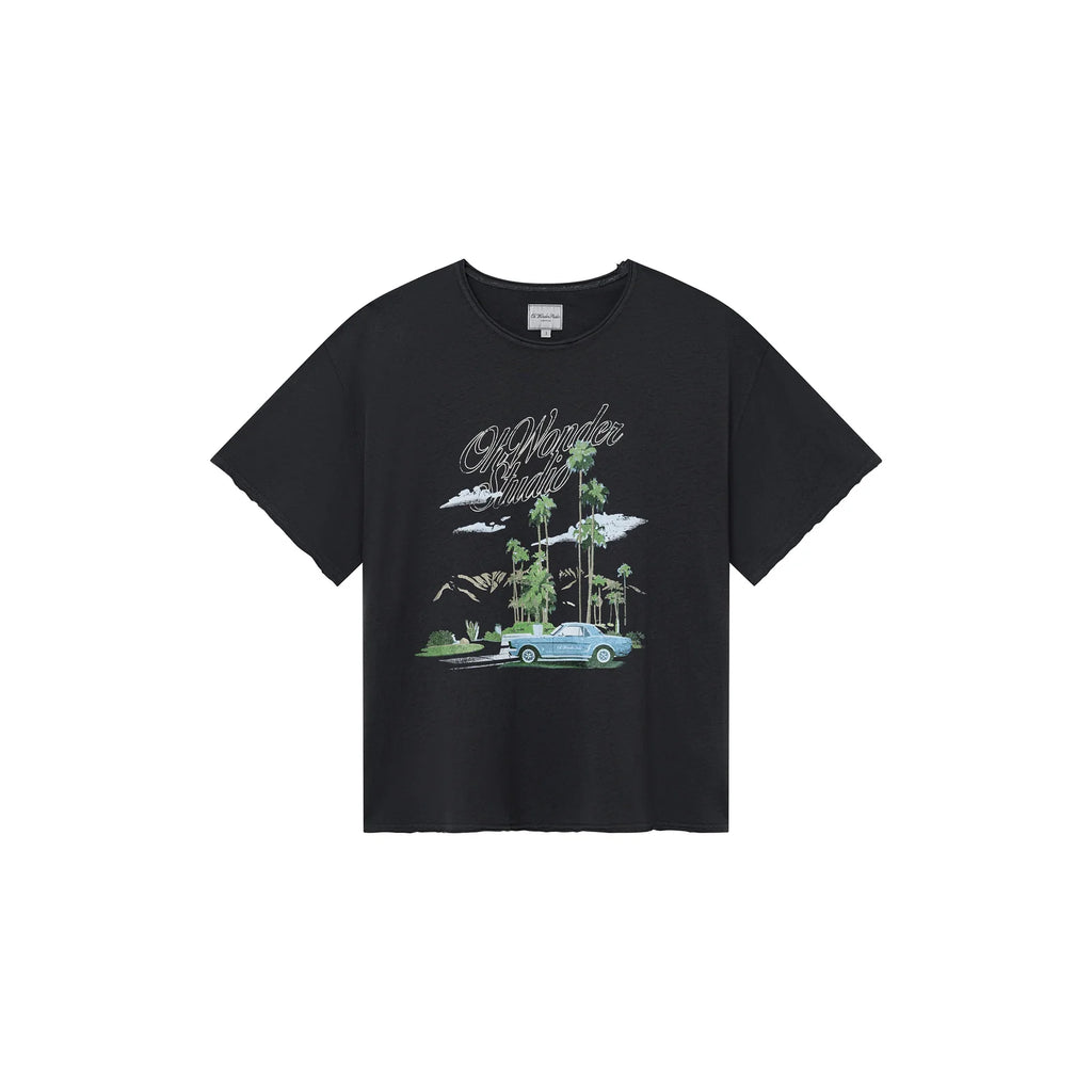 PALM SPRINGS SHORTSLEEVES TEE FADED BLACK