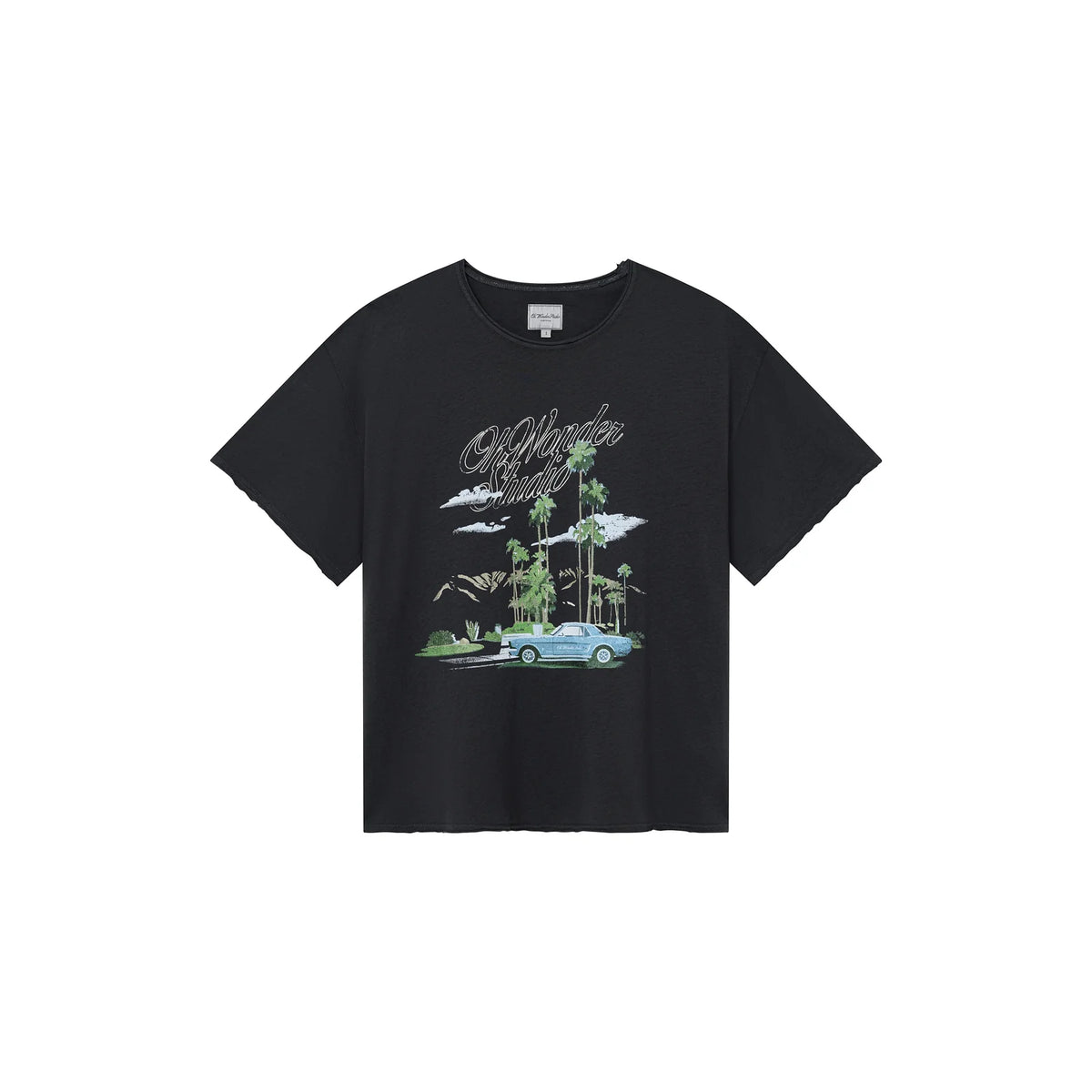 PALM SPRINGS SHORTSLEEVES TEE FADED BLACK