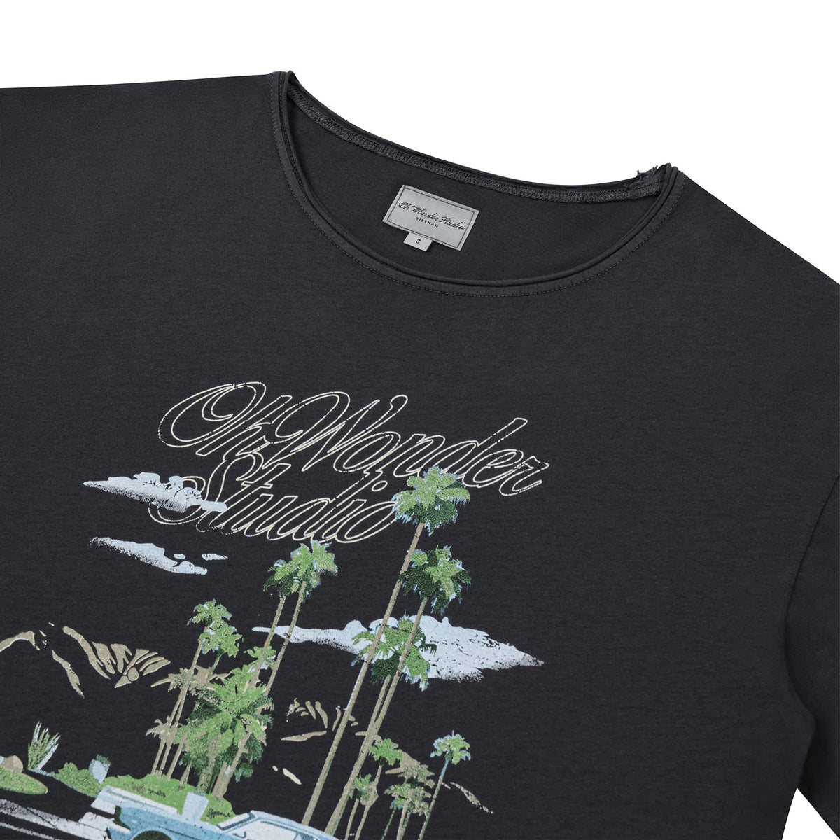 PALM SPRINGS SHORTSLEEVES TEE FADED BLACK